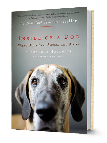 The Myriad lives of a literary dog