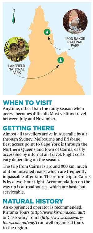 A flying visit: Bird-watching in Australia