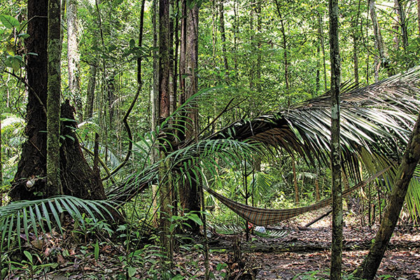 Lying on hammocks is one of the best ways to relax in the Amazon rainforest