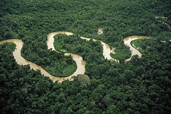 An aerial view of the meandering river in the Amazon forest