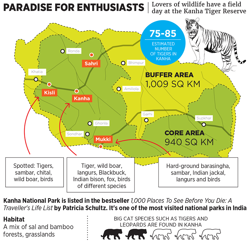 Tiger-spotting in Kanha - a paradise for wildlife enthusiasts