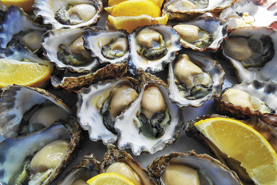 Oysters from Australia: Adding to the flavour on the plate