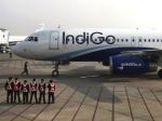 IndiGo keeps cash to buy aircraft; no dividend cheer for shareholders