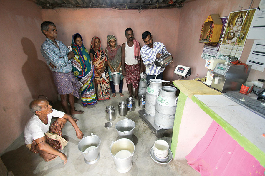 How Milk Mantra became the taste of Odisha