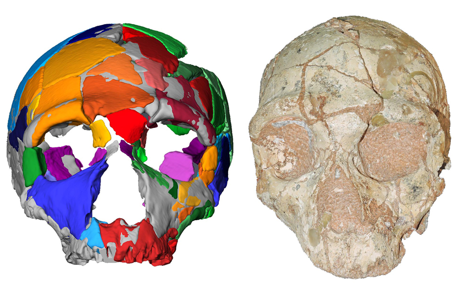 A skull bone discovered in Greece may alter the story of human prehistory