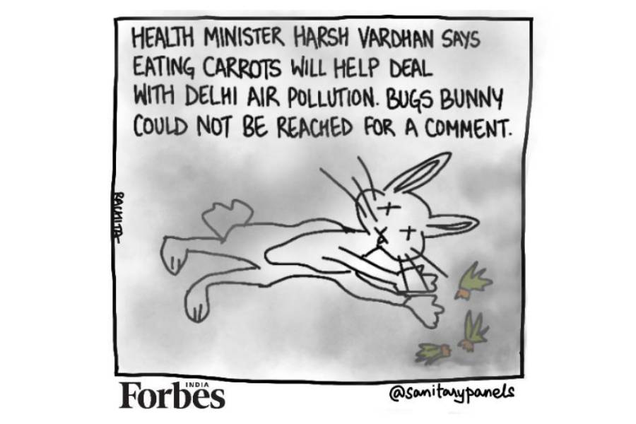 Pollution solutions: Don't choke on your carrots, Delhi