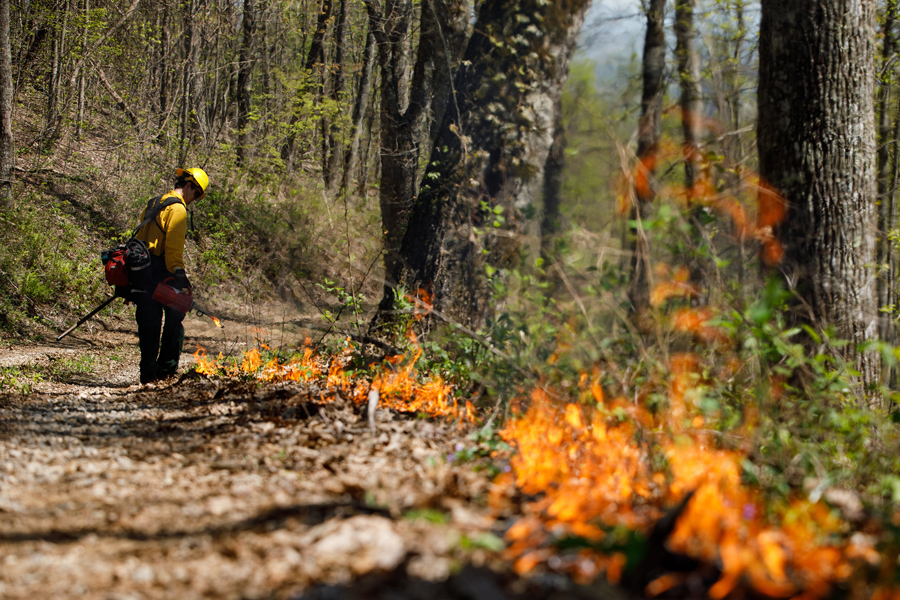 A forecast for a warming world: Learn to live with wildfires