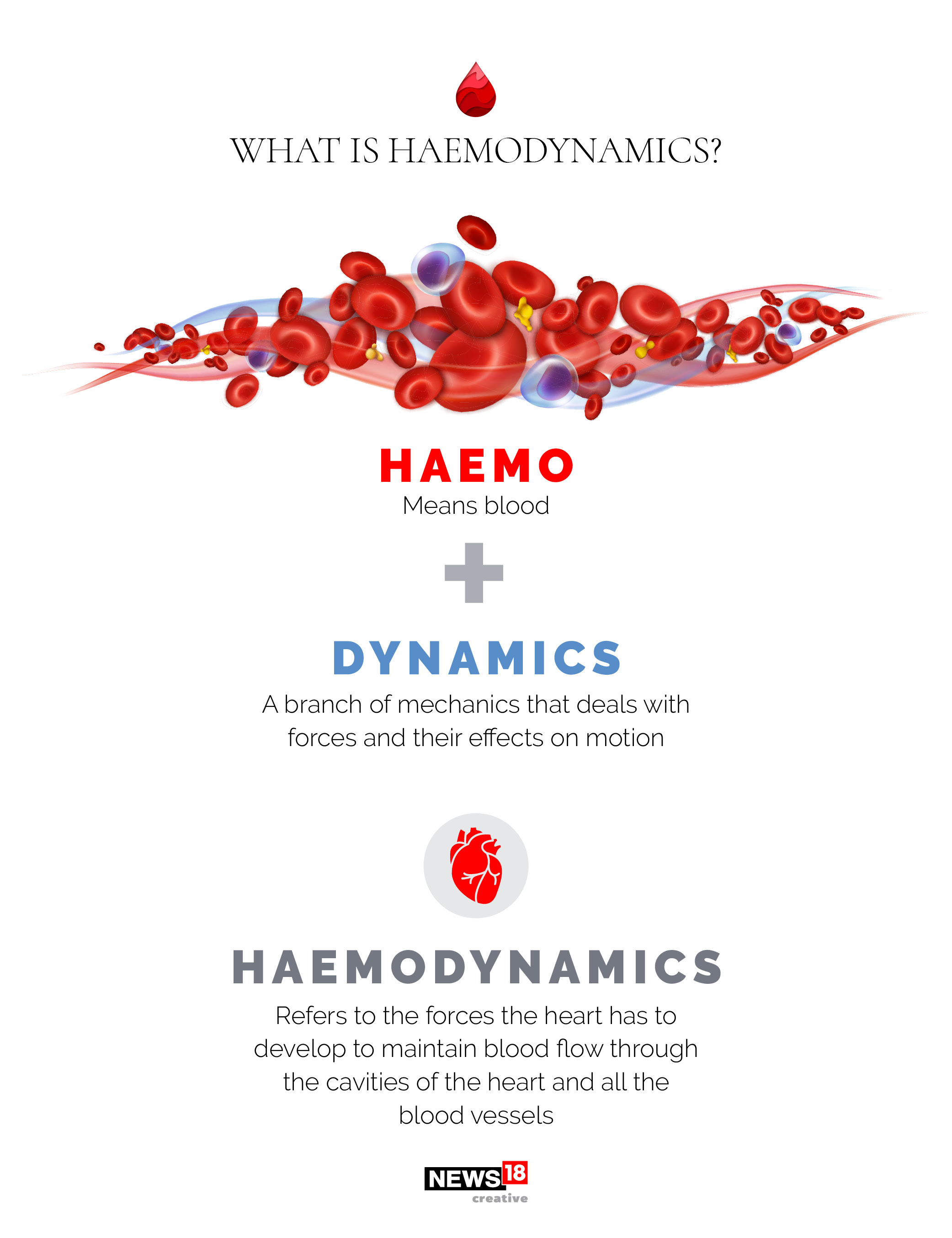 EXPLAINED: What is haemodynamic stability?