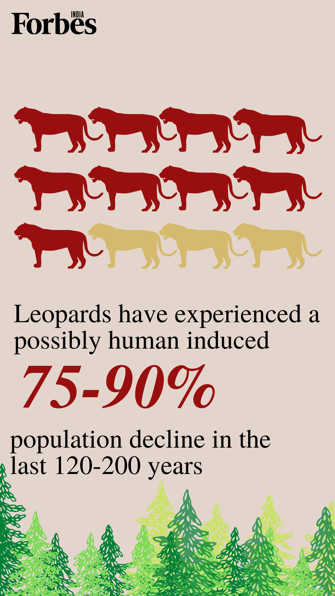 News by Numbers: India's leopard population grows 62% in 4 years but still 'vulnerable'