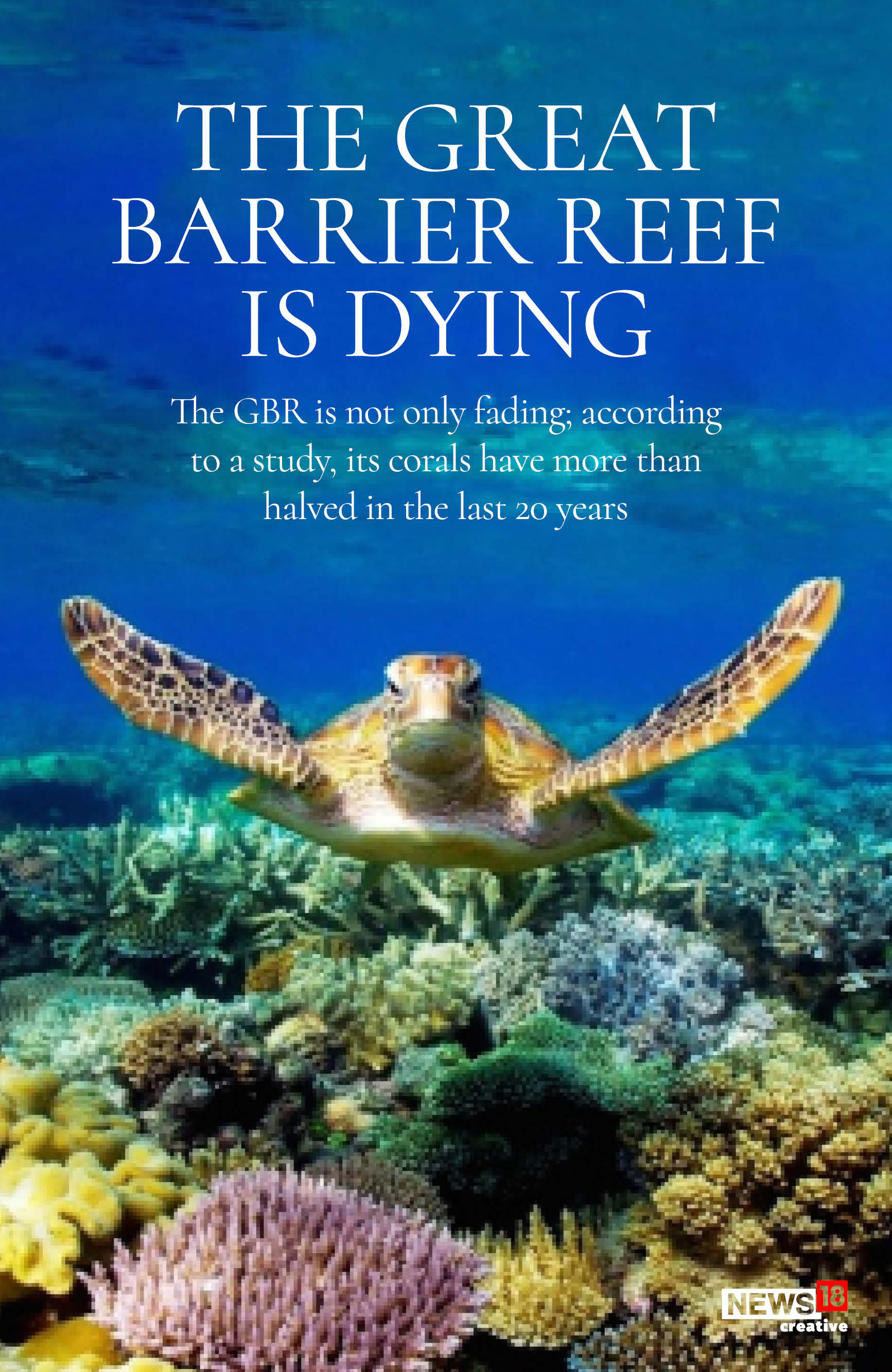 The Great Barrier Reef is dying, here's why