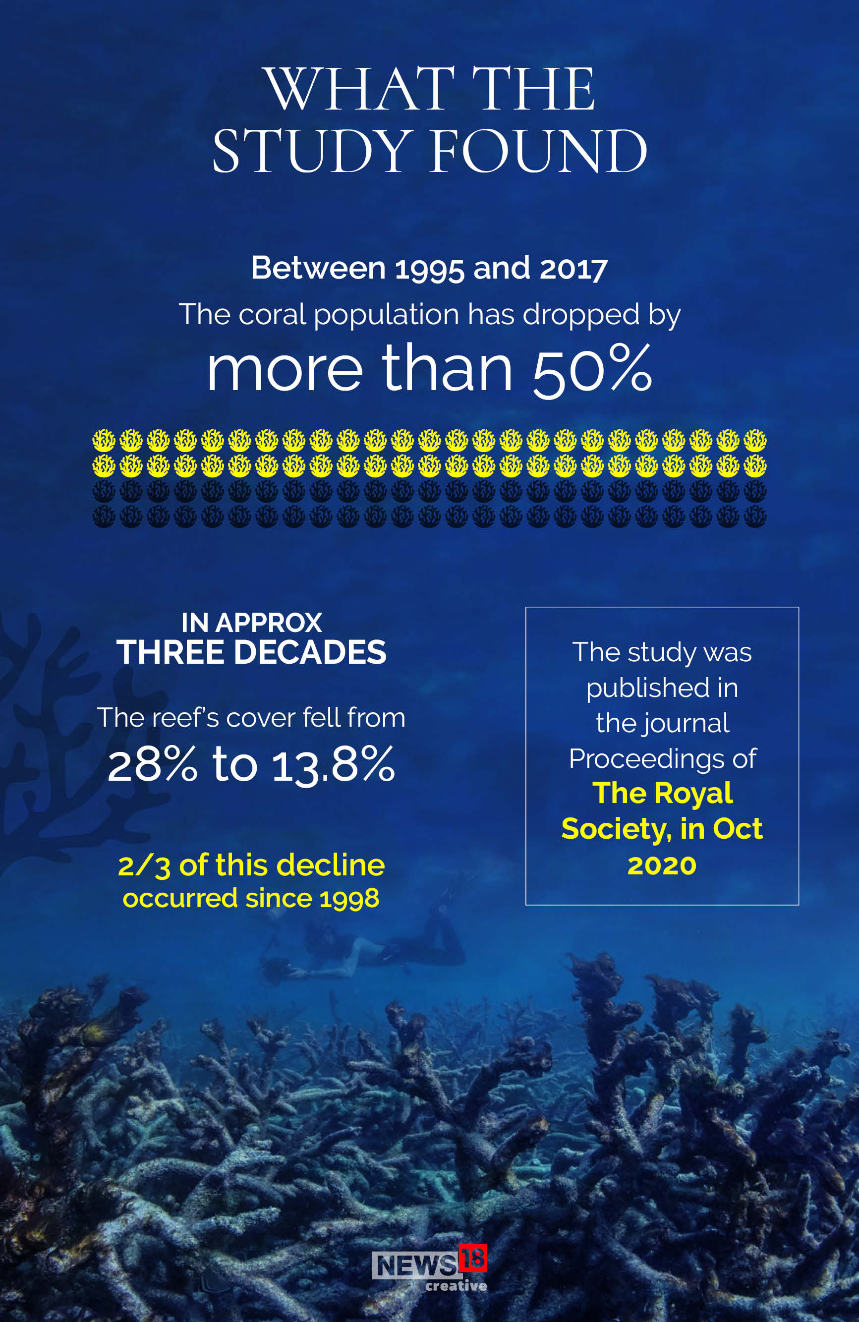 The Great Barrier Reef is dying, here's why