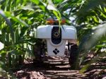 A Growing Presence on the Farm: Robots