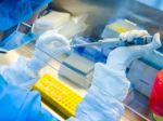 Russia is trying to steal virus vaccine data: Western Nations