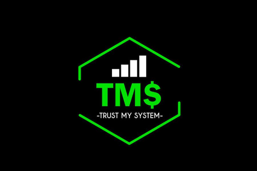 Zain and Farhaz Kheraj started their business, TrustMySystem, with a leap of faith and became massively successful