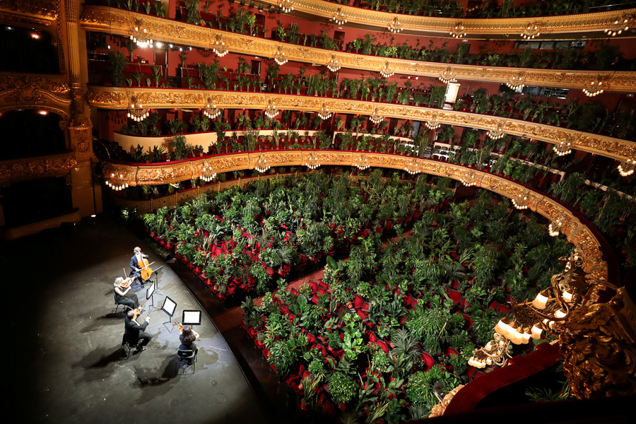 Photo of the Day: An opera for plants