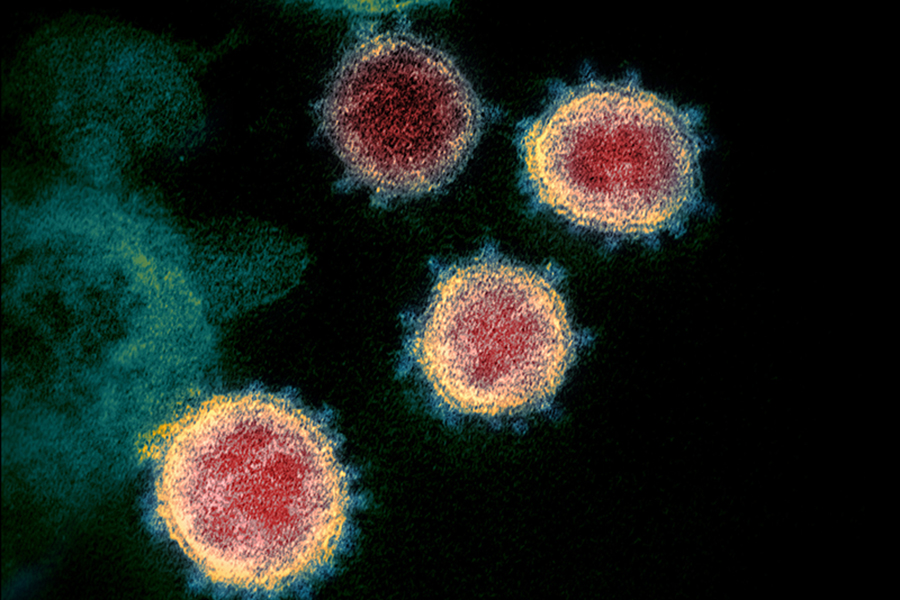 'Is There a Cure?' and answers to other Coronavirus Questions