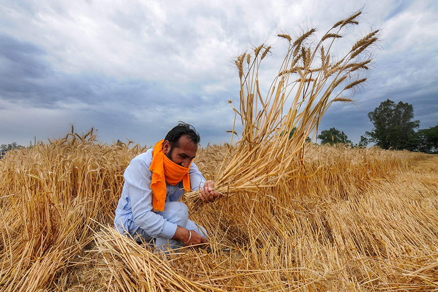 Covid-19 economic package: Farmers' turn to get relief