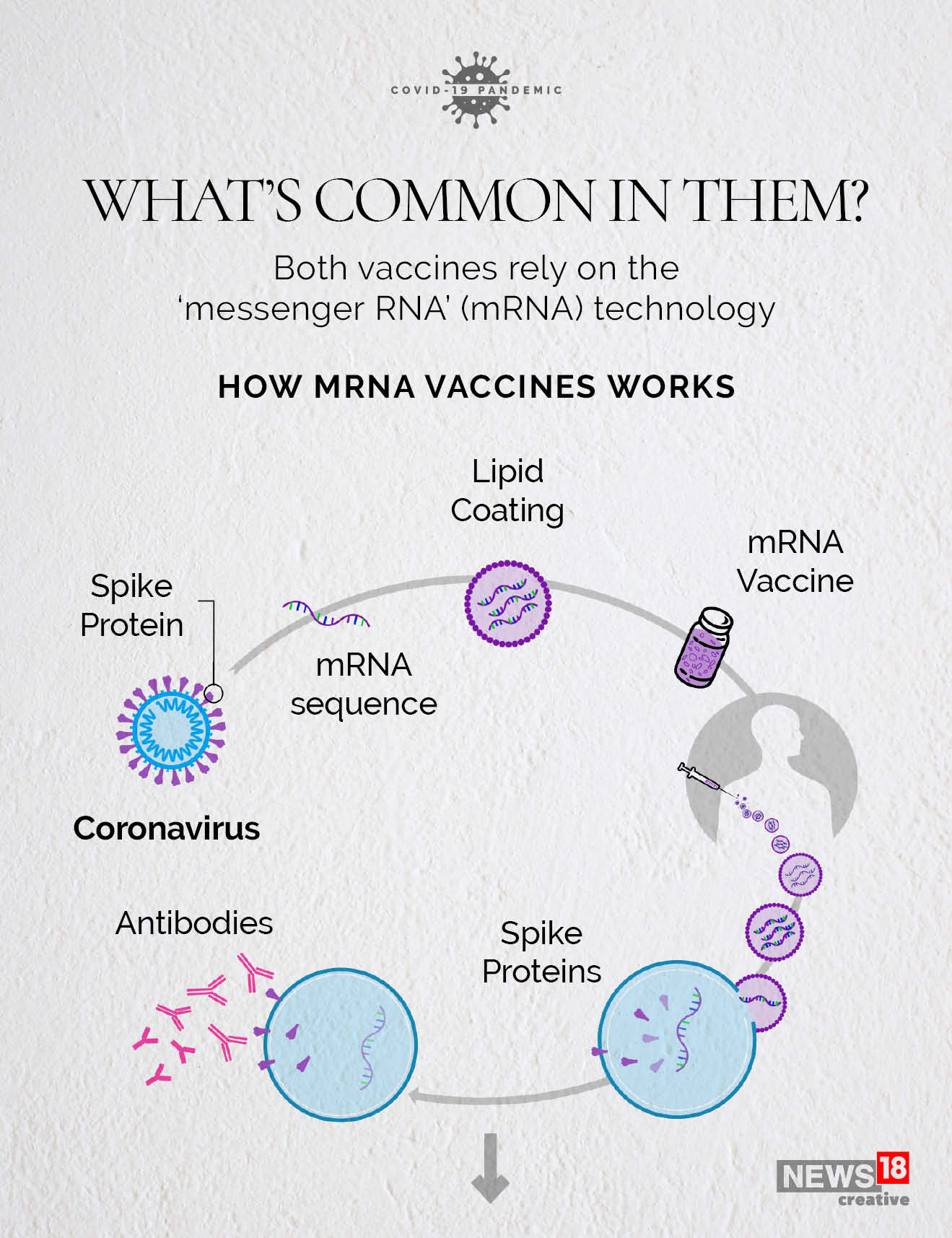 Pfizer vs Moderna: What's different about the vaccines?