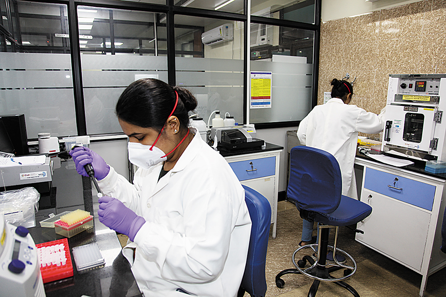 India's pharma firms see strong growth