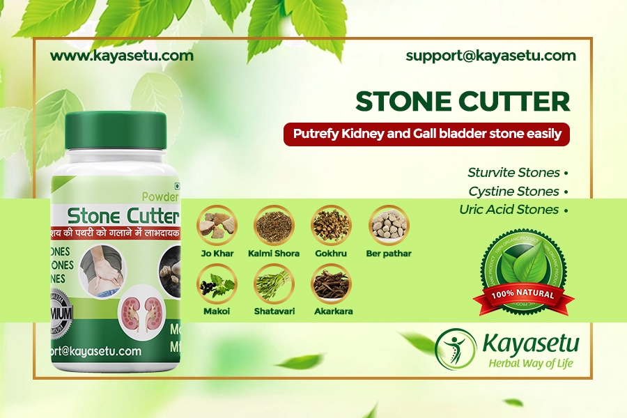 Kayasetu Stone Cutter –Ayurvedic herbal remedy to get rid of kidney and gall bladder stone removal