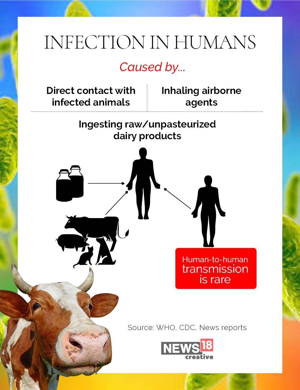 Brucellosis outbreak in China: What you need to know