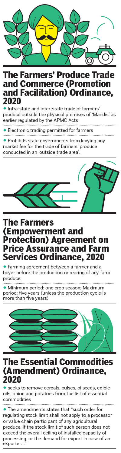 Who benefits from the Farm Acts—farmers or private players?