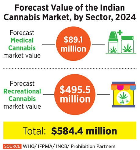 indian cannabis market