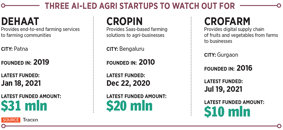 AI special: The companies taking the farm to table(t)