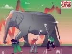 How to tame the elephant in the economy