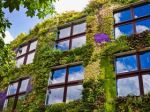 Could green walls be a solution for building insulation?