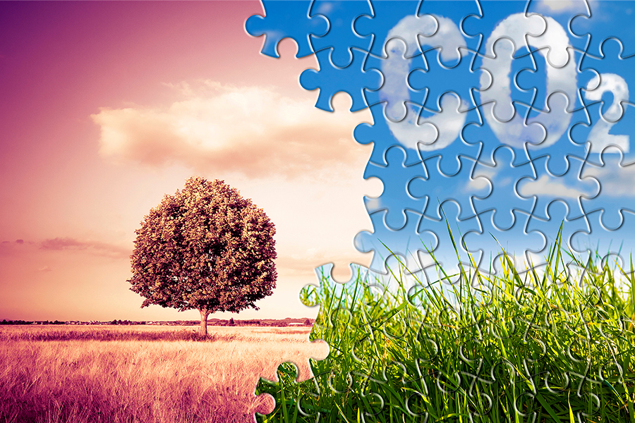 Why the Big Three and corporate engagement could be key to curbing CO2
