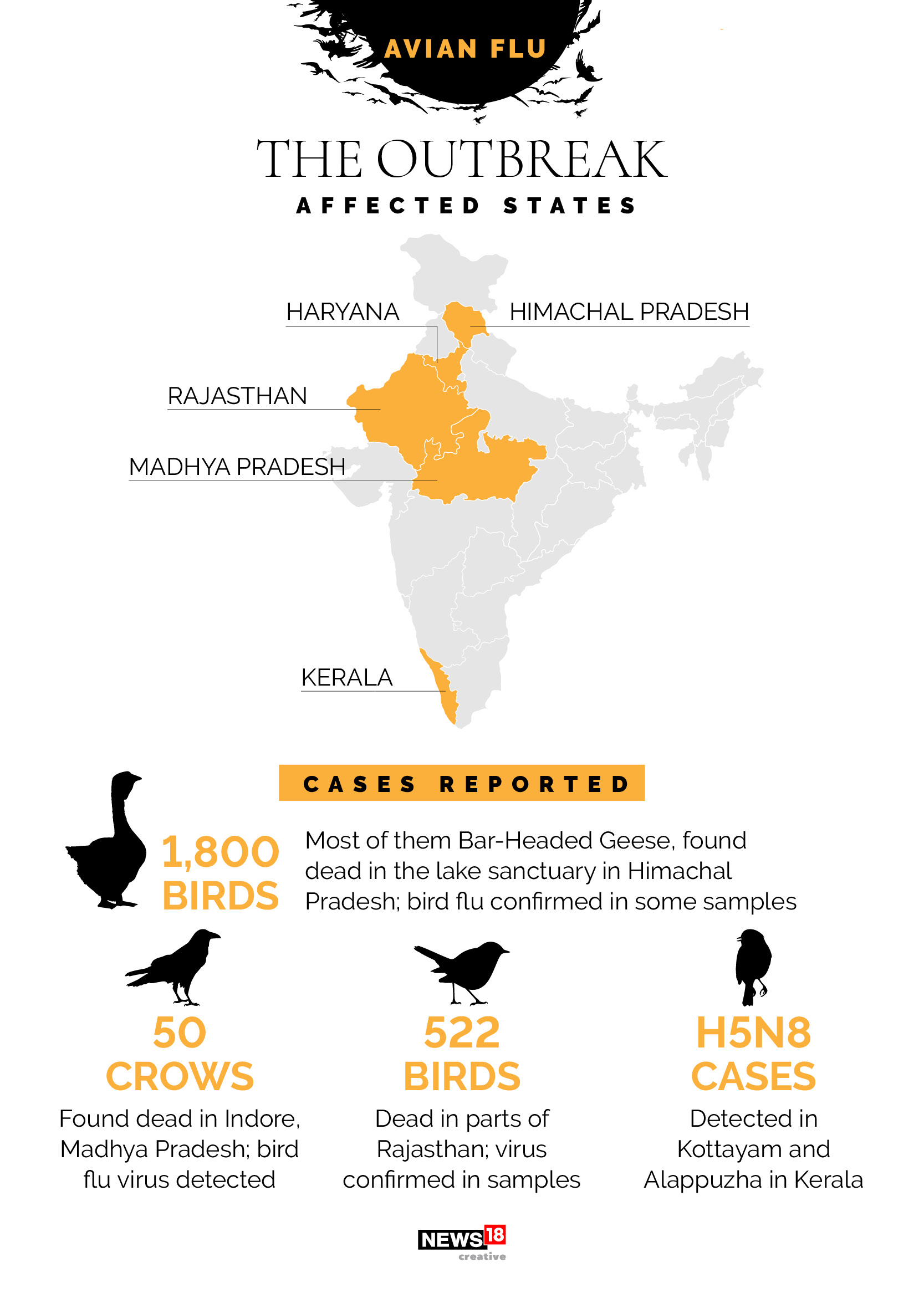 News By Numbers: What we know about Avian Flu that has killed over 2,000 birds