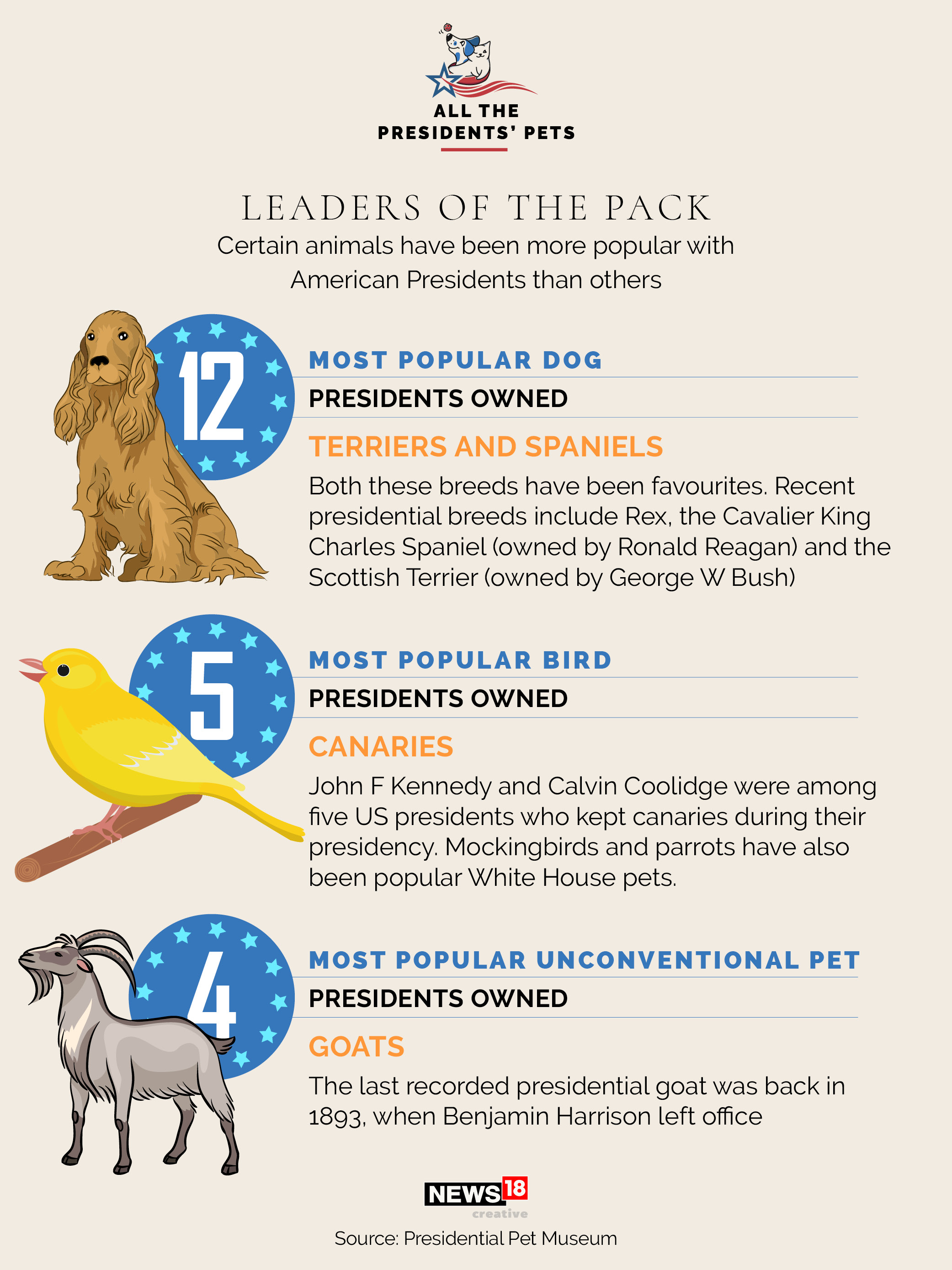 Champ, Major, and all the presidents' pets in US history