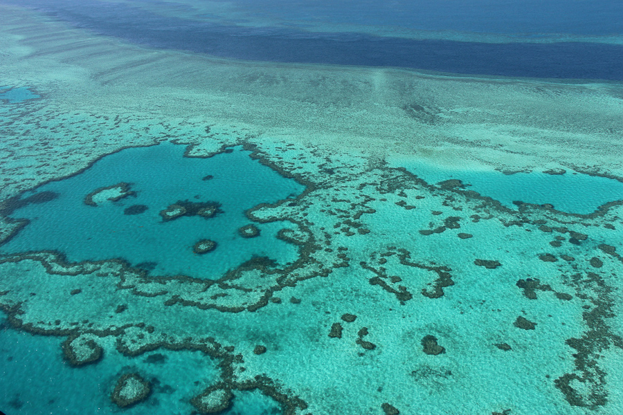 From Great Barrier Reef to Tanzanian game reserves, UN World Heritage sites in danger