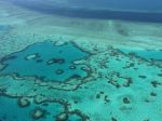 From Great Barrier Reef to Tanzanian game reserves, UN World Heritage sites in danger