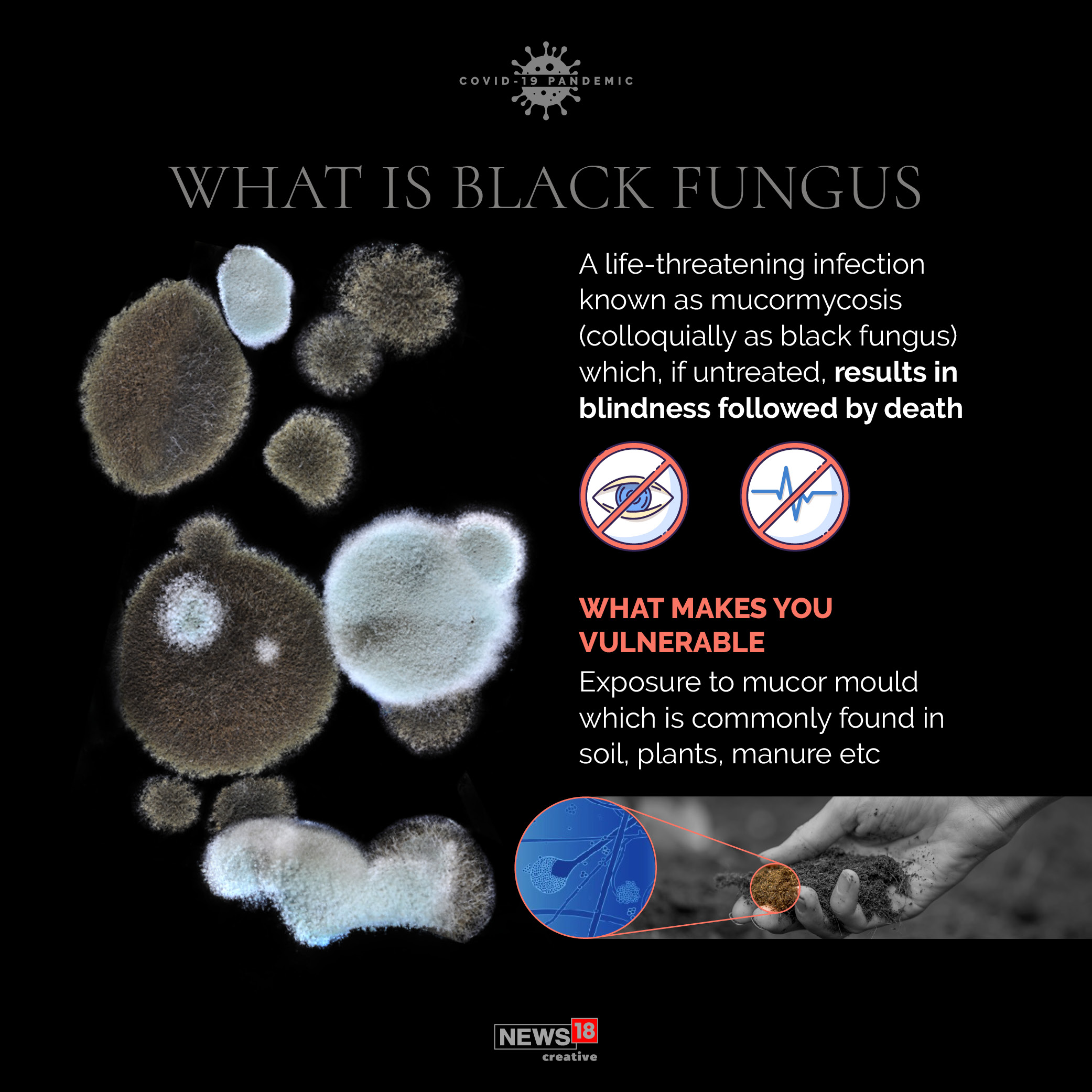What is mucormycosis, or Black Fungus?