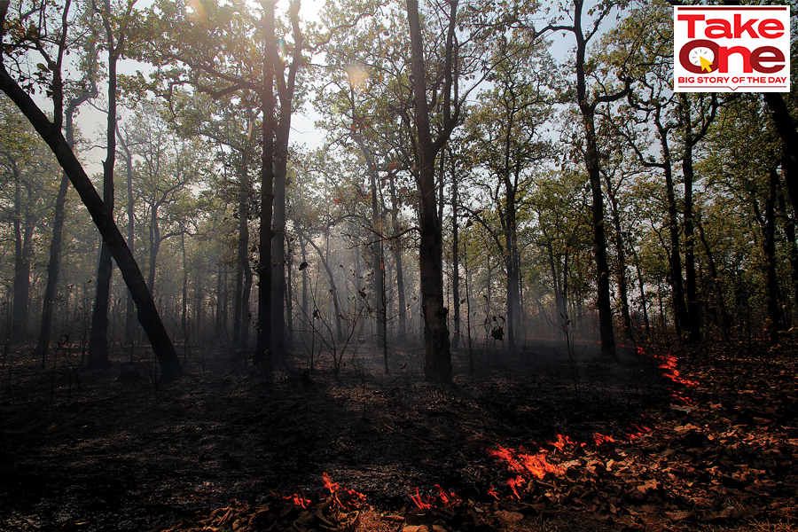Can wildfires be prevented in a world dealing with climate change?