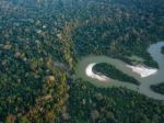 How the global appetite for leather seats in luxury SUVs is worsening deforestation in the Amazon