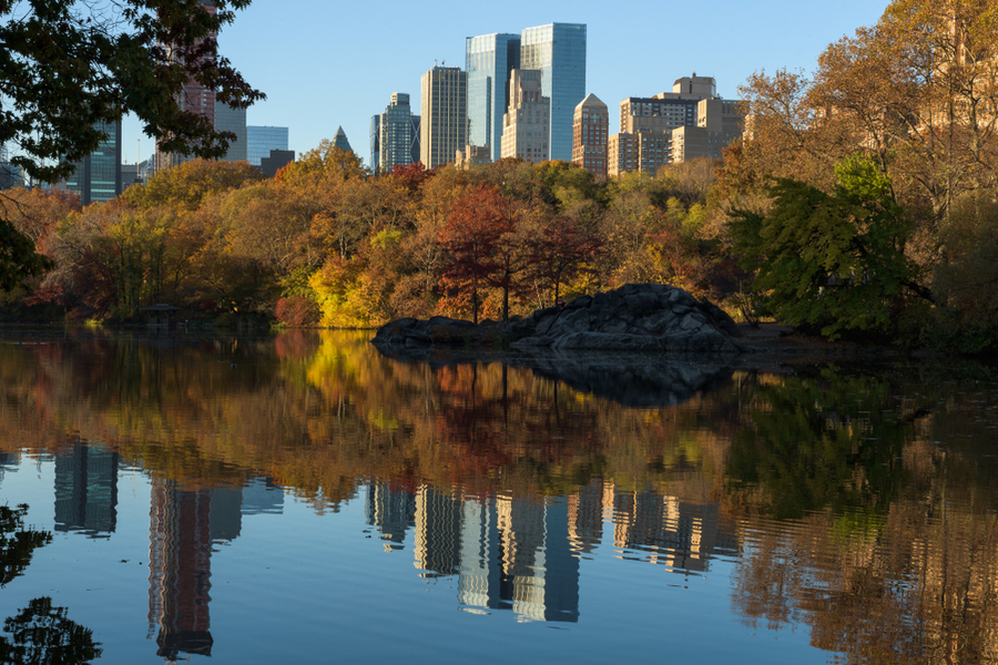 New York tops the list of most Instagrammable cities in the fall