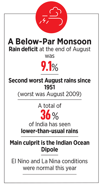 Monsoon is drawing to a close. Will the Gods show mercy on India's rain deficit?