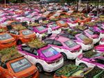 Bangkok's 'taxi graveyard' comes to life with mini-gardens