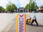 China factories ration power as heatwave sends demand soaring