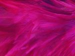 Viva Magenta: Pantone's colour for 2023 is an unconventional shade for an unconventional time