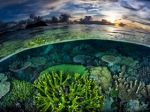 Great Barrier Reef: Cooler temperatures could reduce the threat of mass bleaching