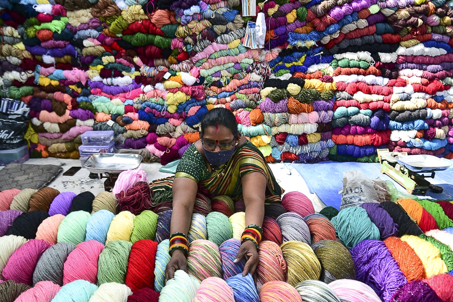 Photo Of The Day: Wool's paradise
