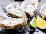 Are lab-grown oysters the next cultivated food?