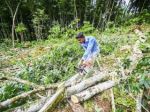 Sri Lankans return to cooking with firewood as economy burns