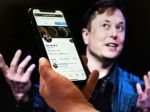 Elon Musk Vs Twitter: How the bots will decide the fate of legal tussle