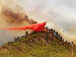 Forest fires rage in scorching southwest Europe