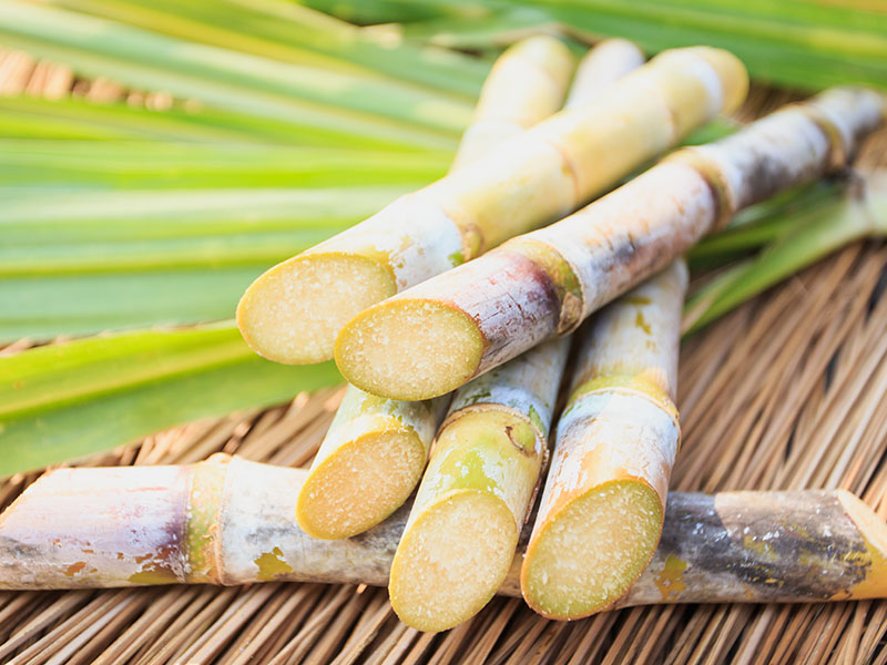 Surprising Second Lives Of Pineapple, Vanilla, And Sugarcane